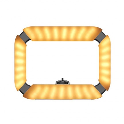 Ulanzi U200 Ring Light Video Rig