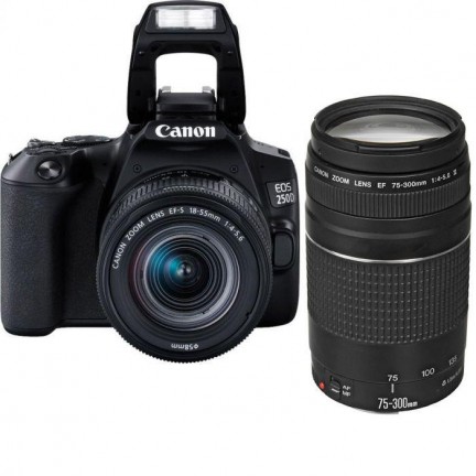 Canon EOS 250D + EF-S 18-55mm f/3.5-5.6 III + EF 75-300mm f/4-5.6 III Double Lens Kit