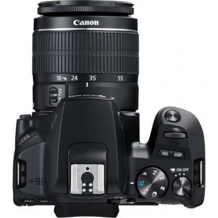 Canon EOS 250D + EF-S 18-55mm f/3.5-5.6 III + EF 75-300mm f/4-5.6 III Double Lens Kit