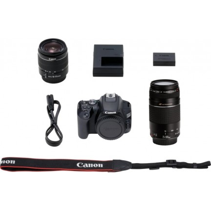 Canon EOS 250D + EF-S 18-55mm f/3.5-5.6 III + EF 75-300mm f/4-5.6 III Double Lens Kit