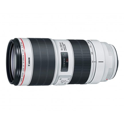 Canon EF 70-200mm f/2.8L is III USM Lens for Canon Digital SLR Cameras